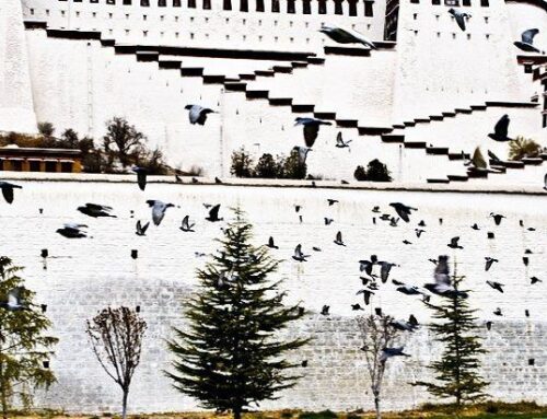 Visit Tibet on a Budget