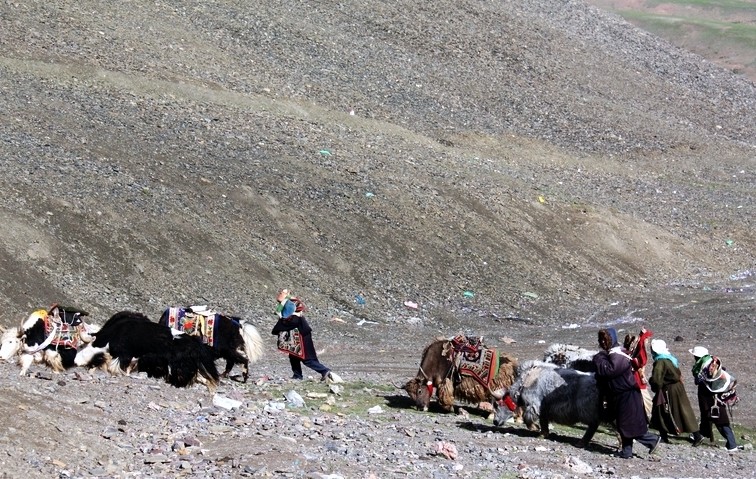 Tibet travel with tibetan nomad, travel to Tibet on a budget