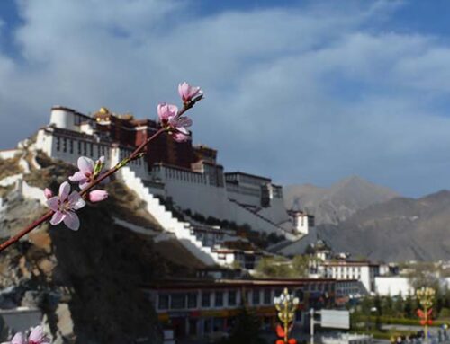 Chinese Group Visa for visiting Tibet