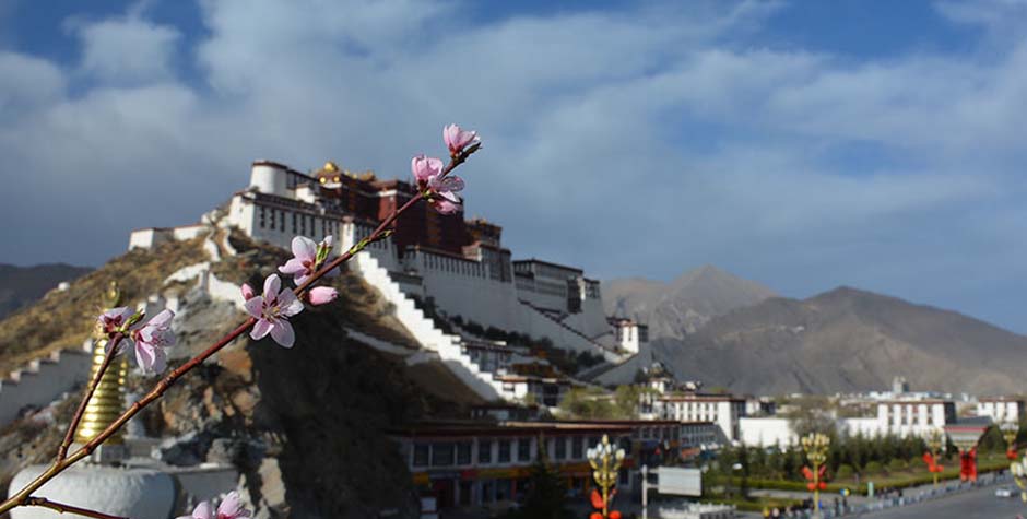 Chinese Group Visa for visiting Tibet