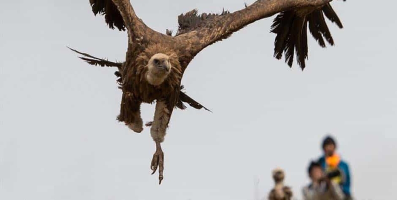 Tibetan Sky Burial | Tenzin Travel and Tours